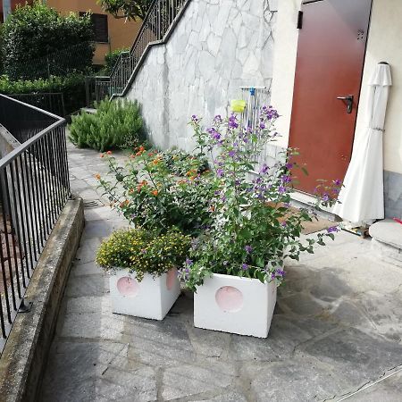 Villa Banfi لافينا بونتي تريسا المظهر الخارجي الصورة