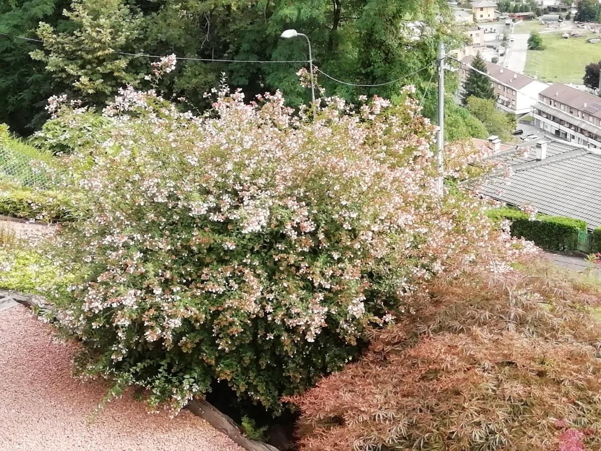 Villa Banfi لافينا بونتي تريسا المظهر الخارجي الصورة