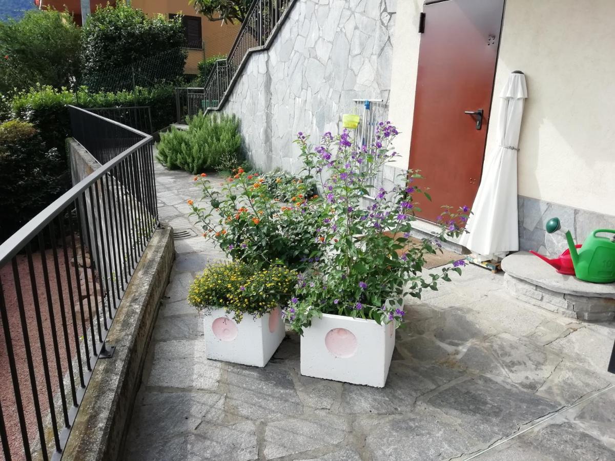 Villa Banfi لافينا بونتي تريسا المظهر الخارجي الصورة
