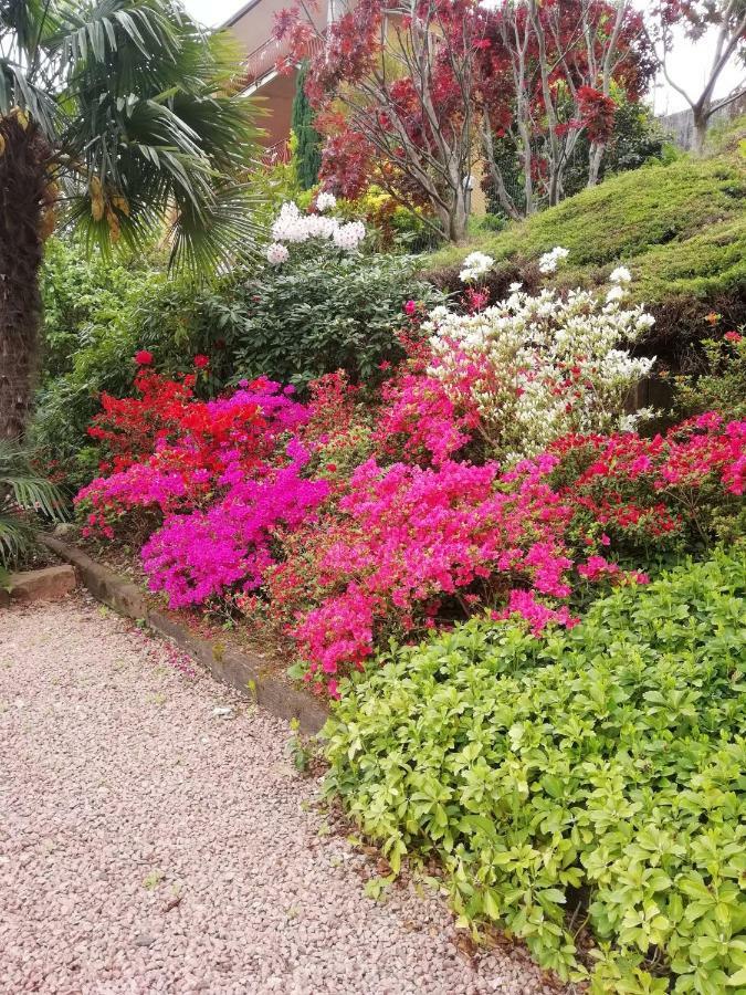 Villa Banfi لافينا بونتي تريسا المظهر الخارجي الصورة